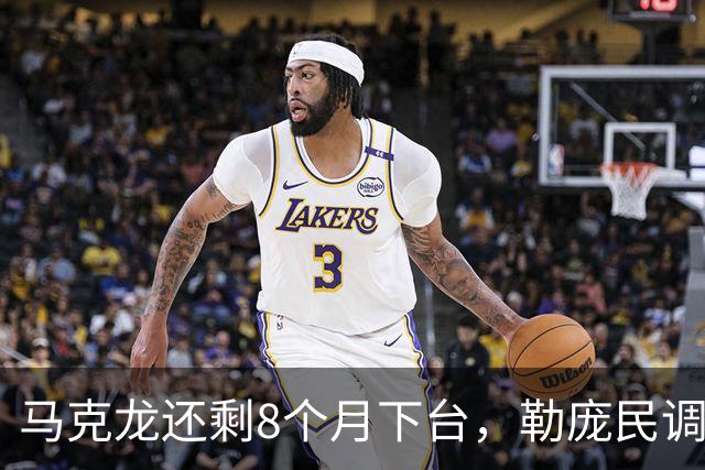 马克龙还剩8个月下台，勒庞民调冲破35%：这十年法兰西，到底被谁偷走了？